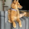 Kaelarihm rebased hall