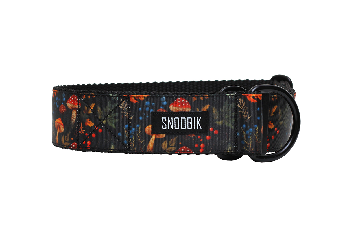 Kaelarihm koerale seened ja sügis