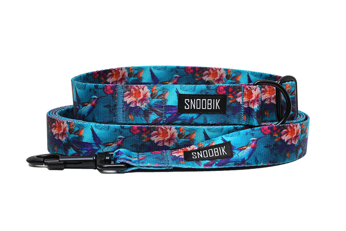 Komplekt koerale jäälinnud